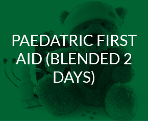 Paediatric First Aid (Blended 2 days)